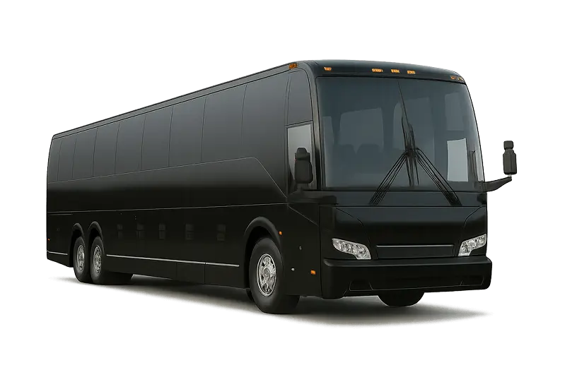 Full-Size Bus