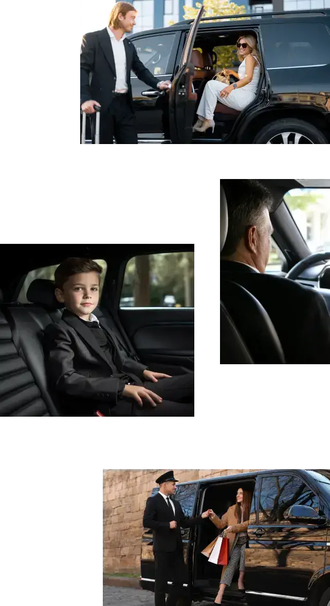 Full-time professional chauffeur